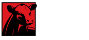 Best Beef Logo with Red Square with Black Cow Head