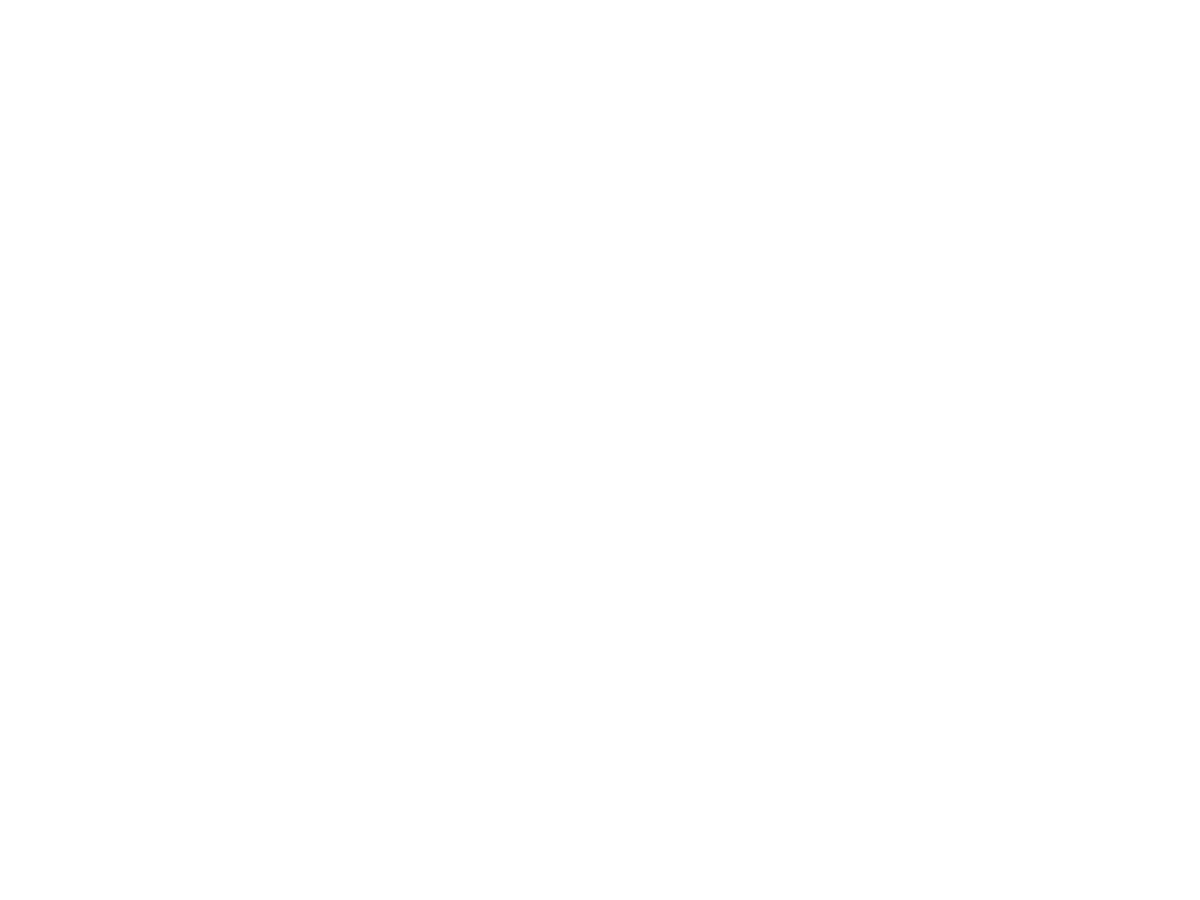 Location Icon with White Circle 